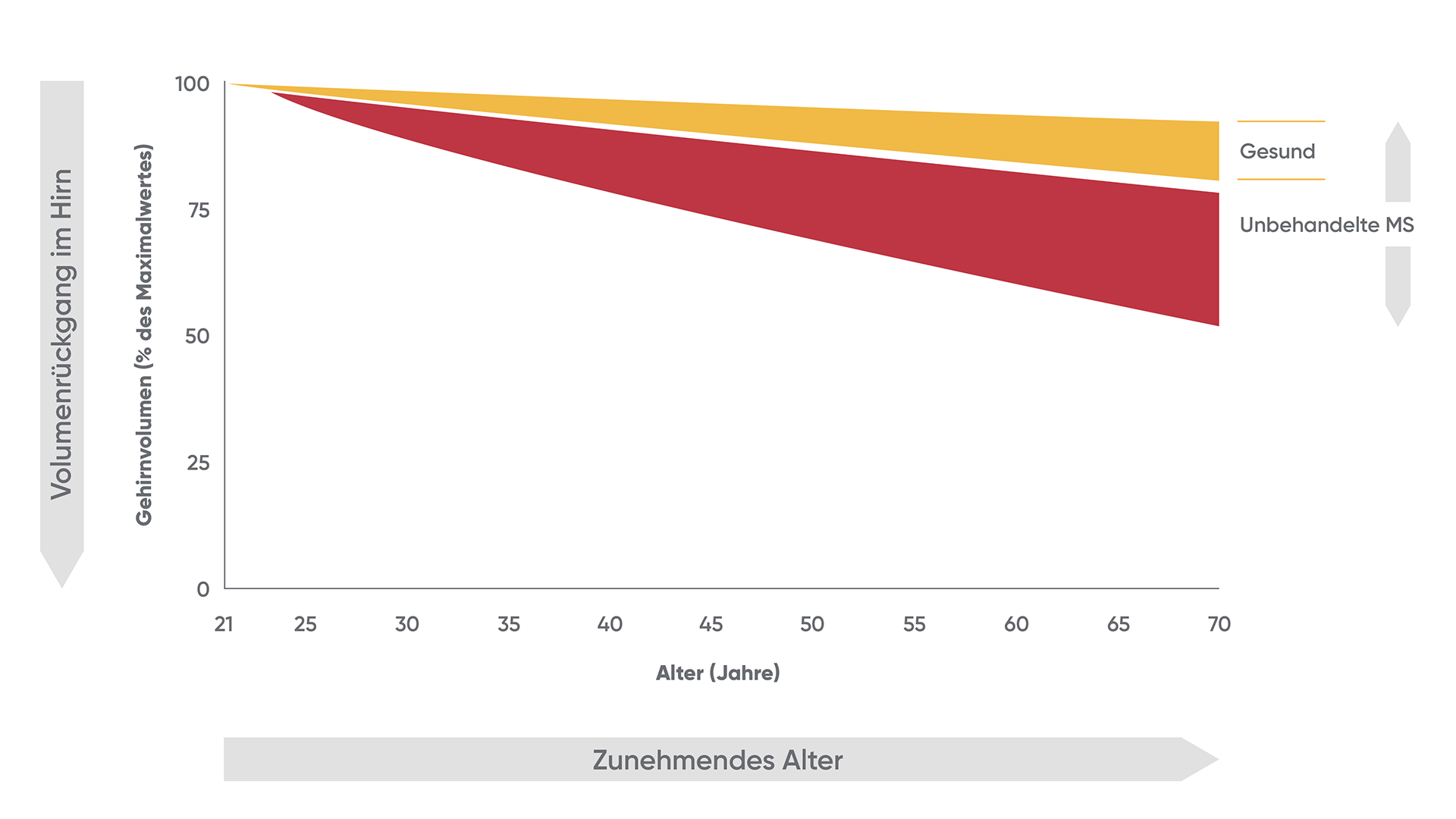 250502 Abbildung unbehandelter MS 1920x1080px V1