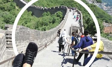 Artikel-Bild: 251022 KW48 Stephanie Subheader 16zu9 MER LMMS V1